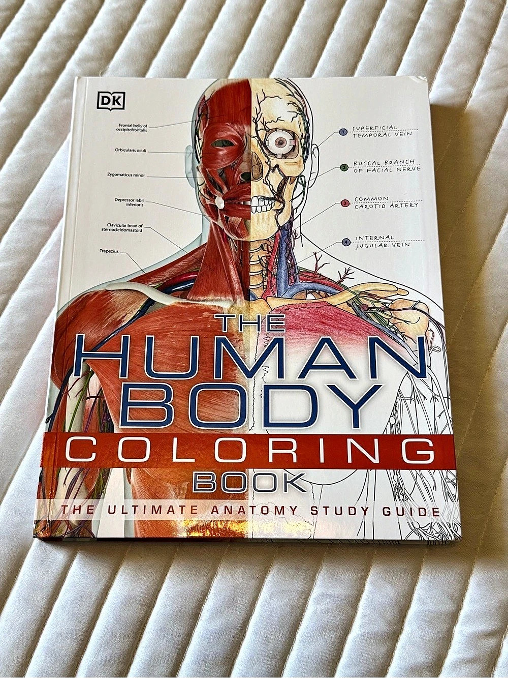 DK The Human Body Coloring Book Anatomy Coloring Book